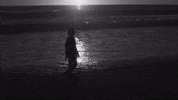 Seed GIF by TAEYANG