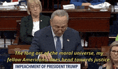 Chuck Schumer Impeachment GIF