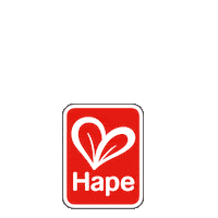hapetoys hape hapetoys hapedeutschland Sticker