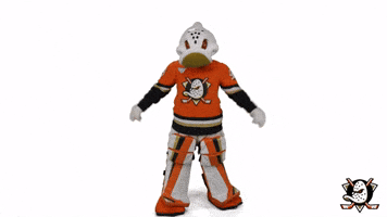 Mighty Ducks Duck GIF by Anaheim Ducks