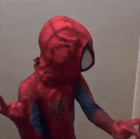 Spider-Man GIF