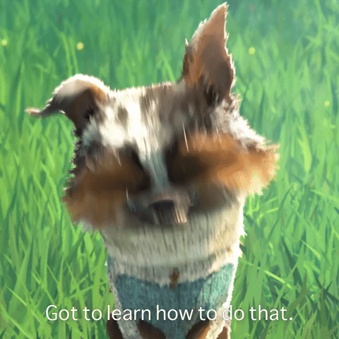 Got to Learn How To Do That