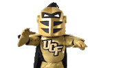 ucf football hit the folks Sticker by UCF Knights