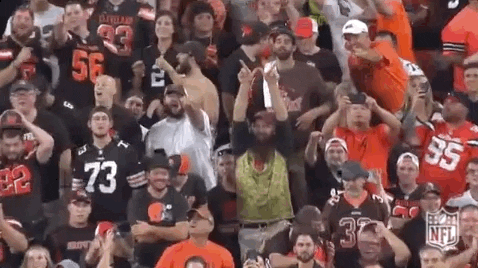 2018 nfl browns win GIF by NFL