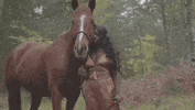 kiarajonesmusic nature green horse body GIF