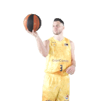 Liga Endesa Spinning Sticker by ACB