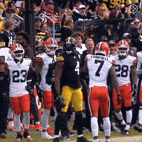 Celebration Nfl GIF by Pittsburgh Steelers