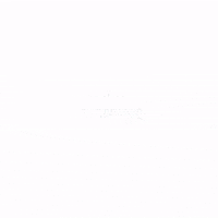 hawaii ironman GIF by Felt Bicycles