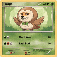 Shiba Inu Humor GIF by Doge Pound