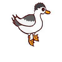 Ducks Waterfowl Sticker
