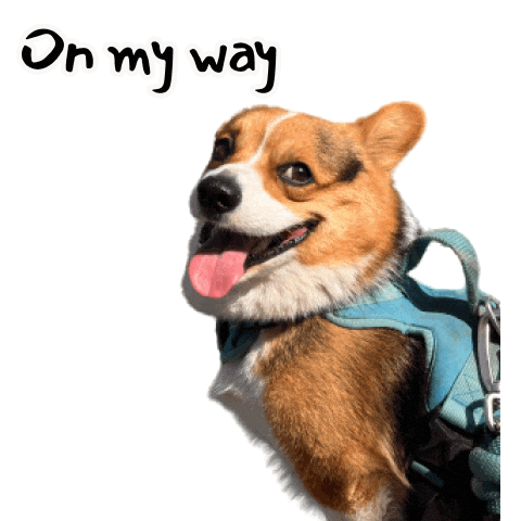 Corgi Milo Sticker