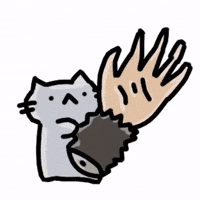 Be Careful What You Wish For Cat GIF