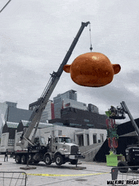 Performance Lab GIF by Alex Boya