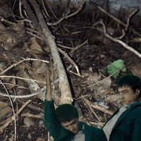 swiss army man GIF by GIPHY CAM