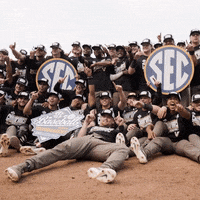 Celebrate College World Series GIF by Vanderbilt Athletics