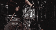 mergerecords cat modelo bob dylan titus GIF