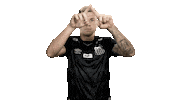 Var Sticker by Santos Futebol Clube