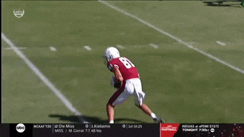 gostanford  GIF