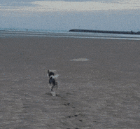 Water Running GIF
