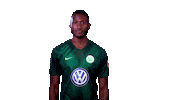 hallo france Sticker by VfL Wolfsburg
