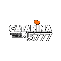 catarinapaladini deputado pelotas deputadoestadual psdb Sticker