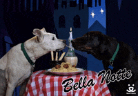 Valentines Day Love GIF by Best Friends Animal Society