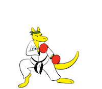 Summer Olympics Karate Sticker by AUSOlympicTeam