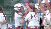 James Madison Women GIF by NCAA Championships