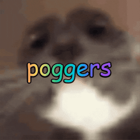 Awesome Pog GIF