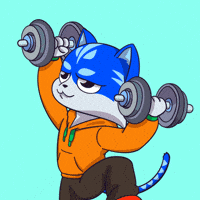 Cat Workout GIF by Toshithecat