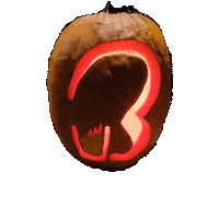 thebarbook beer bar pumpkin tequila Sticker