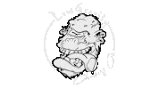 Monkey Gorilla Sticker by Low Gravity Climbing
