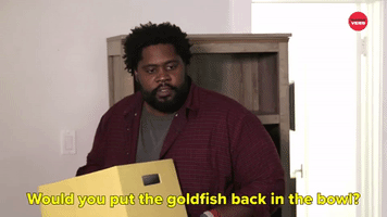 Put The Goldfish Back In The Bowl?