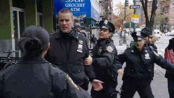 blue bloods fight GIF by CBS