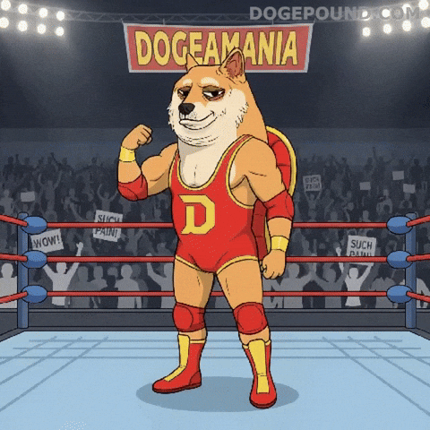 Shiba Inu Wow GIF by Doge Pound