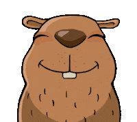 Capivara Cacapava Sticker by Caçapava Oficial