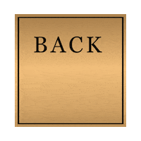 Gold Button Sticker by Mr Boost