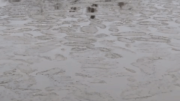'Pancake Ice' Forms Atop Lake Superior in Wisconsin