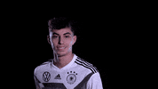 dfb-teams germany jubel tor dfb GIF