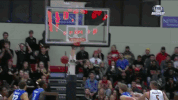 basketball celebration GIF by SIUE Cougars