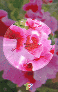 Dios Es Bueno Flores GIF by Murcianys LLC