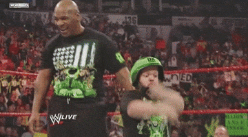 d generation x wrestling GIF by WWE