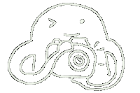 Take Pictures Camera Sticker