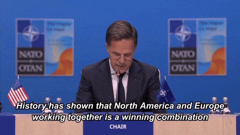 Strongertogether Otan GIF by NATO
