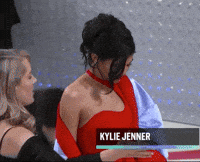Kylie Jenner GIF by E!
