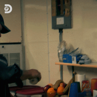 GIF by Discovery Europe