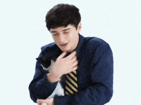 Napkimi noah schnapp noah schnapp cute stranger things kitten interview noah schnapp kitten interview GIF