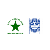 Sport Heerlen Sticker by Groene ster