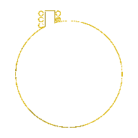 Jazzmanouche Sticker by Festival de Jazz Manouche de Piracicaba