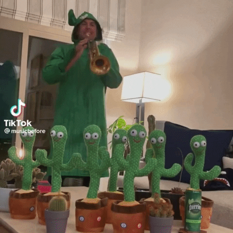 nenadmirkajlovic giphyupload GIF